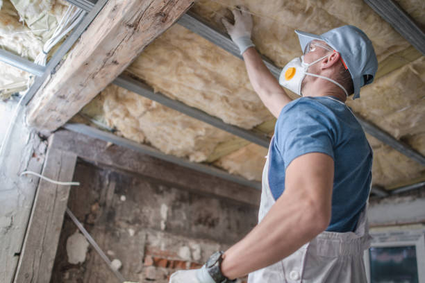 Best DIY Insulation Kits and Guidance in Long Branch, NJ